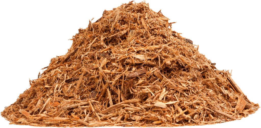 Wholesale 2